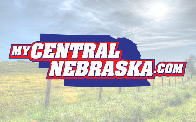 Nebraska Cattle On Feed Down 6%
