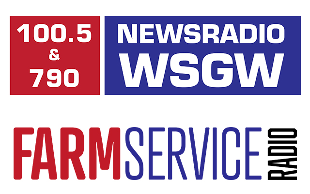 790 & 100.5 Newsradio WSGW