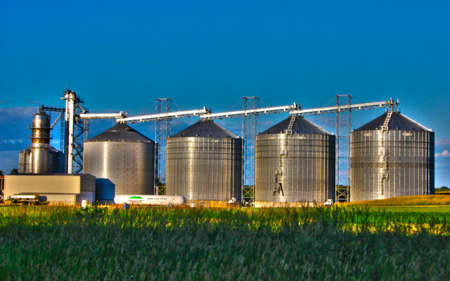 Grain Stocks Mixed for Corn, Beans; Up Slightly on Wheat