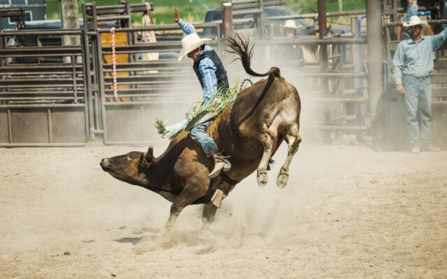 USTPA and Bull Bash Coming Back to Amarillo